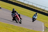 PJ-Motorsport-2019;anglesey-no-limits-trackday;anglesey-photographs;anglesey-trackday-photographs;enduro-digital-images;event-digital-images;eventdigitalimages;no-limits-trackdays;peter-wileman-photography;racing-digital-images;trac-mon;trackday-digital-images;trackday-photos;ty-croes